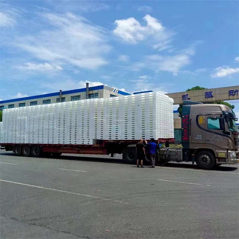 河北邢台隆尧县到玉林物流公司——一站式服务，让货运更轻松（玉林专线物流）