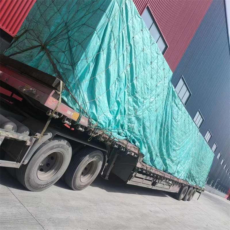 河北邢台隆尧县到甘肃物流公司河北邢台隆尧县至甘肃物流专线往返运输河北邢台隆尧县大型物流公司普货冷链高效电商快运零担整车大件货运直达一站式服务